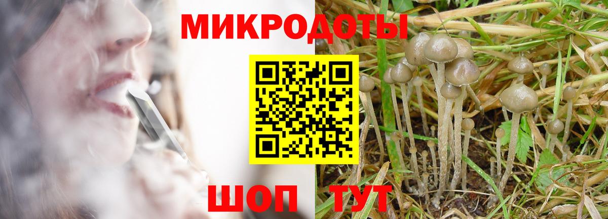 Псилоцибиновые грибы ЛСД  Вход с VPN  Псилоцибиновые грибы Magic Shrooms  Ейск 